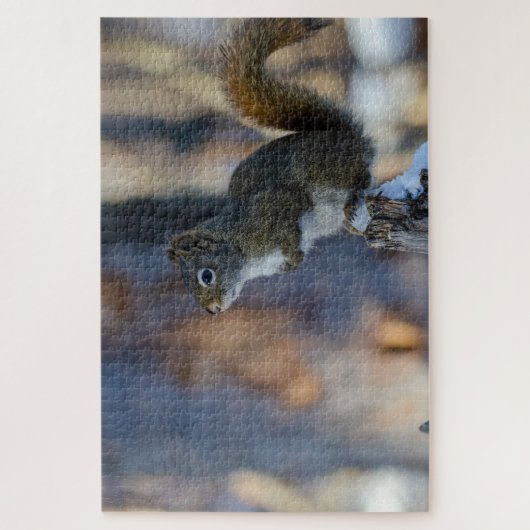 Wintereekhoorn, bruin dier, Canadese foto Legpuzzel (Verticaal)