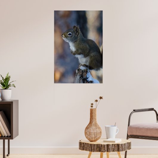 Wintereekhoorn, bruin dier, Canadese foto Poster (Woonkamer 3)