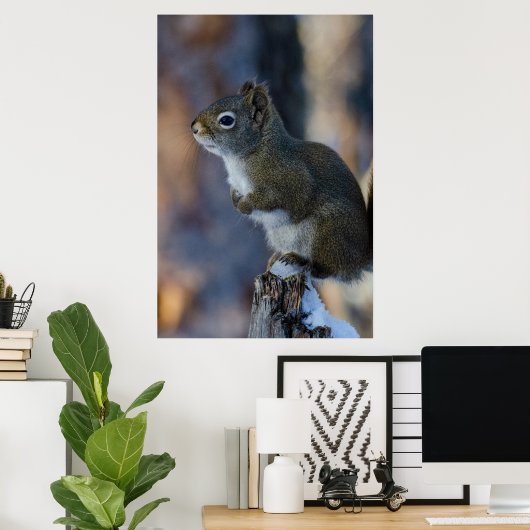 Wintereekhoorn, bruin dier, Canadese foto Poster (Thuiskantoor)