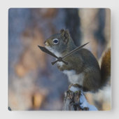 Wintereekhoorn, bruin dier, Canadese foto Vierkante Klok (Voorkant)