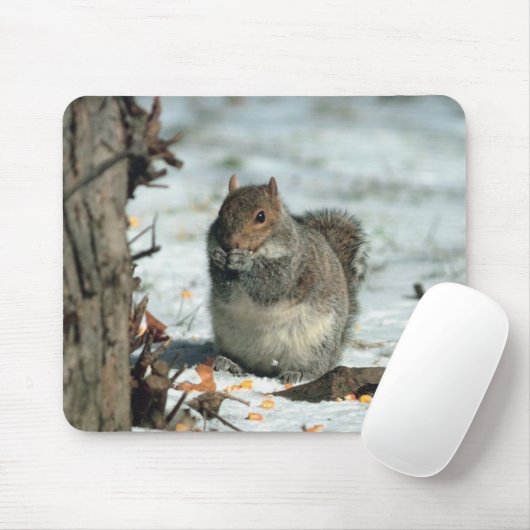 Wintereekhoorn Muismat (Met muis)