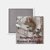 Wintereekhoorn, sneeuw- en rode kerstontwerpen magneet (Voorkant / Achterkant)