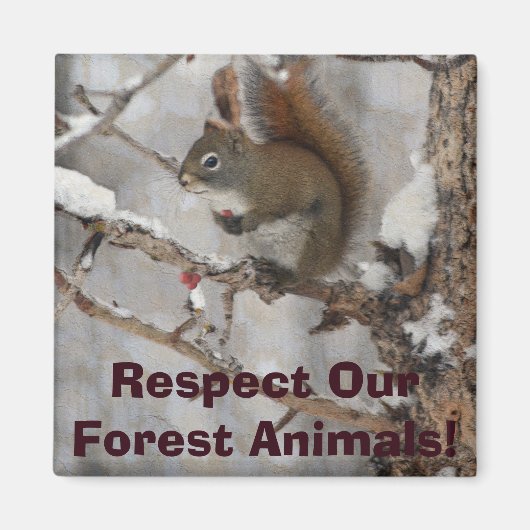 Wintereekhoorn, sneeuw- en rode kerstontwerpen magneet (Voorkant)