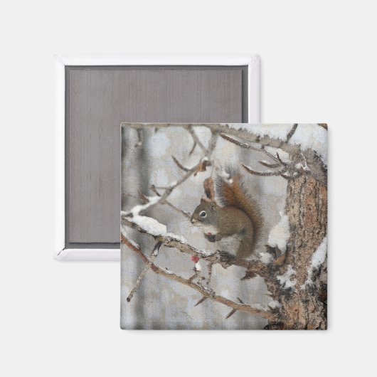 Wintereekhoorn, sneeuw- en rode kerstontwerpen magneet (Voorkant / Achterkant)