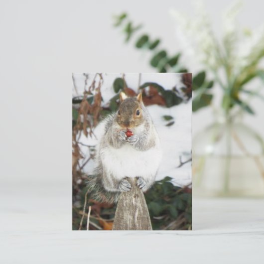 Wintereekhoorndruk Briefkaart (Staand voorkant)