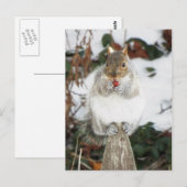 Wintereekhoorndruk Briefkaart (Voorkant / Achterkant)