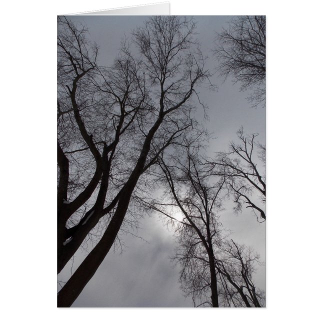 Wintereenzaamheid (Voorkant)