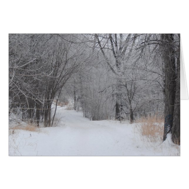 Wintereenzaamheid (Voorkant Horizontaal)