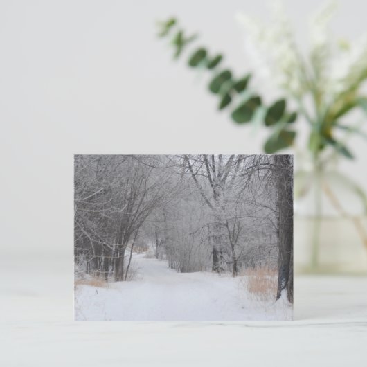 Wintereenzaamheid Briefkaart (Staand voorkant)