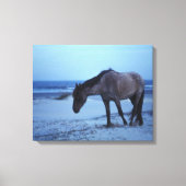 Wintereenzaamheid van de paardachtigen canvas afdruk (Voorkant)