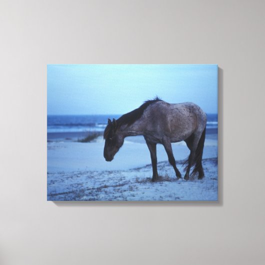 Wintereenzaamheid van de paardachtigen canvas afdruk (Voorkant)