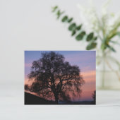 Wintereik op zonsondergang briefkaart (Staand voorkant)