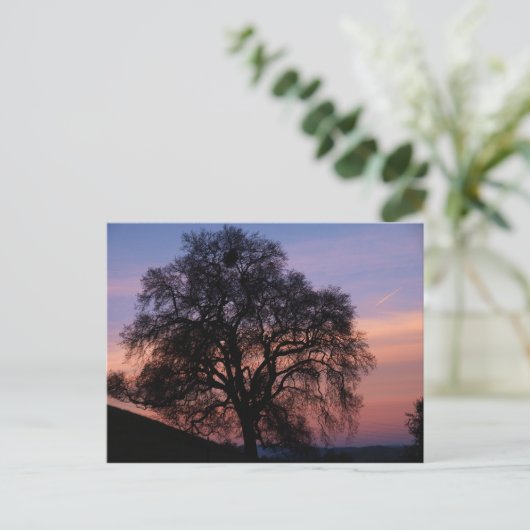 Wintereik op zonsondergang briefkaart (Staand voorkant)