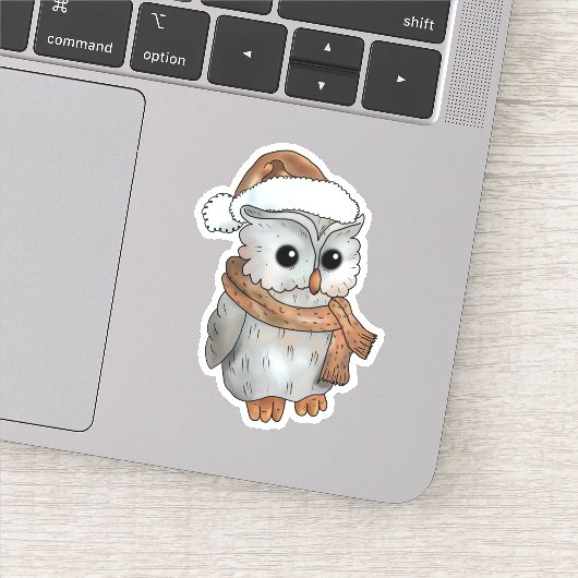 Wintereule Sticker (Detail)