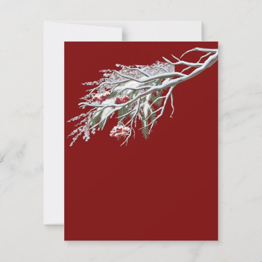 Winterfeesten in de sneeuw, met Kittens Aankondiging (Achterkant)