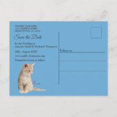 Winterfeesten in de sneeuw, met Kittens Aankondigingskaart (Achterkant)