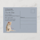 Winterfeesten in de sneeuw, met Kittens Aankondigingskaart (Achterkant)