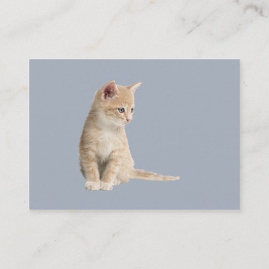 Winterfeesten in de sneeuw, met Kittens Informatiekaartje (Achterkant)