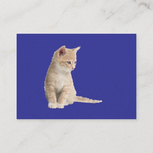 Winterfeesten in de sneeuw, met Kittens Informatiekaartje (Achterkant)