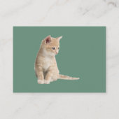 Winterfeesten in de sneeuw, met Kittens Informatiekaartje (Achterkant)