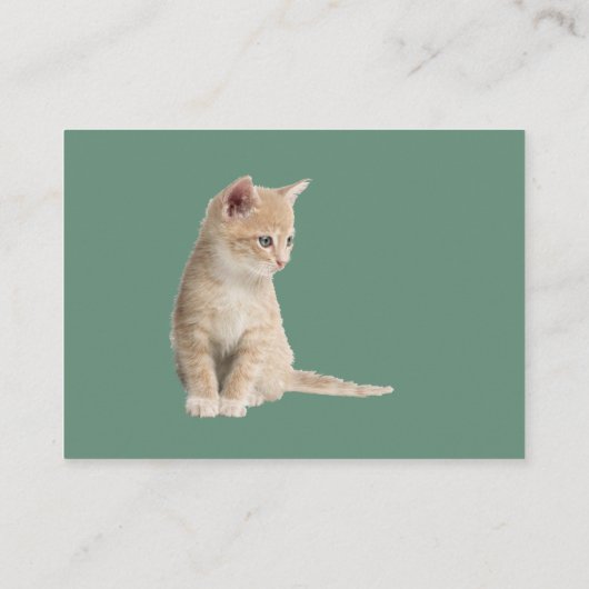 Winterfeesten in de sneeuw, met Kittens Informatiekaartje (Achterkant)