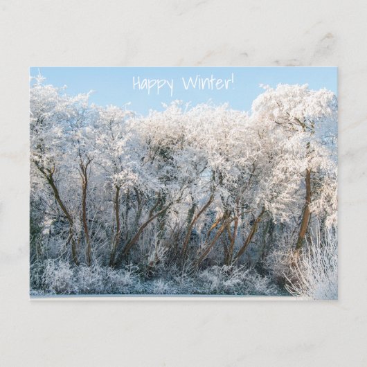 Winterfoto sneeuwlandschap briefkaart (Voorkant)