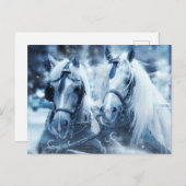 Winterfoto van het schitterende paard briefkaart (Voorkant / Achterkant)