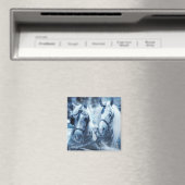 Winterfoto van het schitterende paard magneet (Insitu (Vaatwasser))