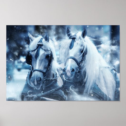 Winterfoto van het schitterende paard poster (Voorkant)