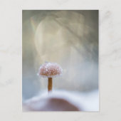 Winterfoto van paddenstoel feestdagenkaart (Voorkant)