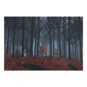 Winterfoto's afdrukken foto afdruk