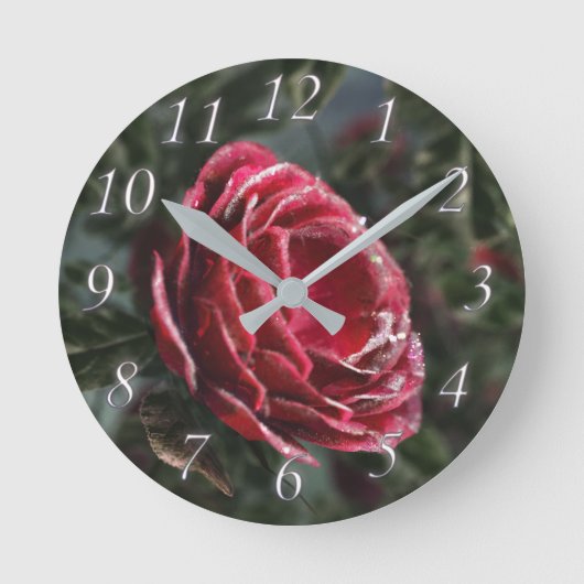 Wintergipsklok Ronde Klok (Voorkant)