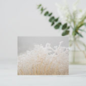 Wintergrassen Briefkaart (Staand voorkant)