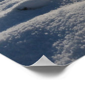 Wintergrassen   - poster (Hoek)