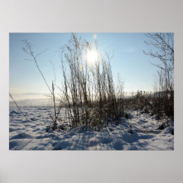 Wintergrassen   - poster