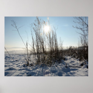 Wintergrassen   - poster