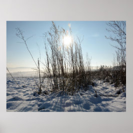 Wintergrassen - poster