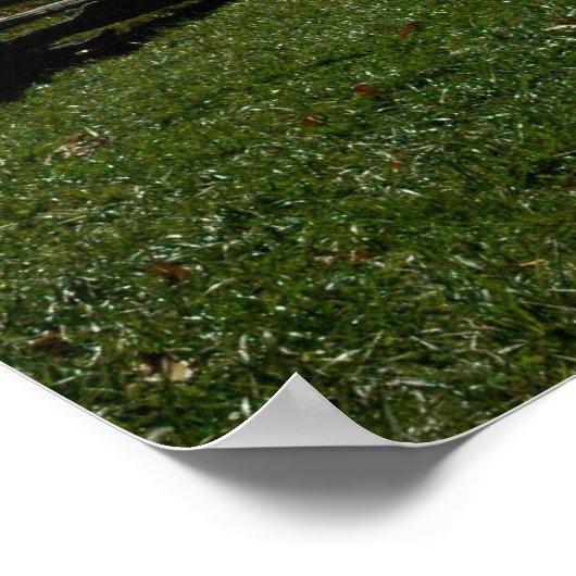 Wintergreen Poster (Hoek)