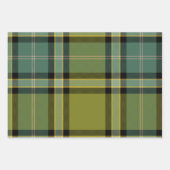 Wintergreen Wrapping Paper Flat Sheet Set of 3 (Voorkant)