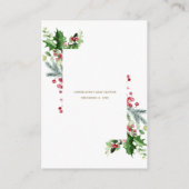 Wintergroen Advies Voor Moeder Baby Shower Informatiekaartje (Achterkant)