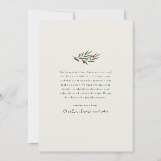 Wintergroen Ivoor 3 Foto Kerstmis Feestdagenkaart (Achterkant)