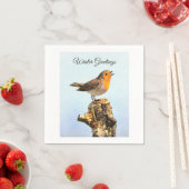 Wintergroeten. Robin zingt Servet (Insitu)