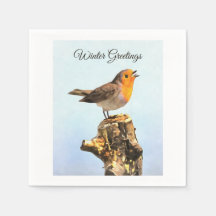 Wintergroeten. Robin zingt