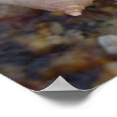 Winterhaven Seasnagels Poster (Hoek)