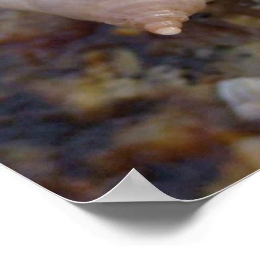 Winterhaven Seasnagels Poster (Hoek)