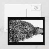 winterheg briefkaart (Voorkant / Achterkant)