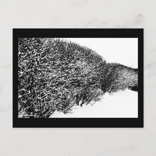 winterheg briefkaart (Voorkant)