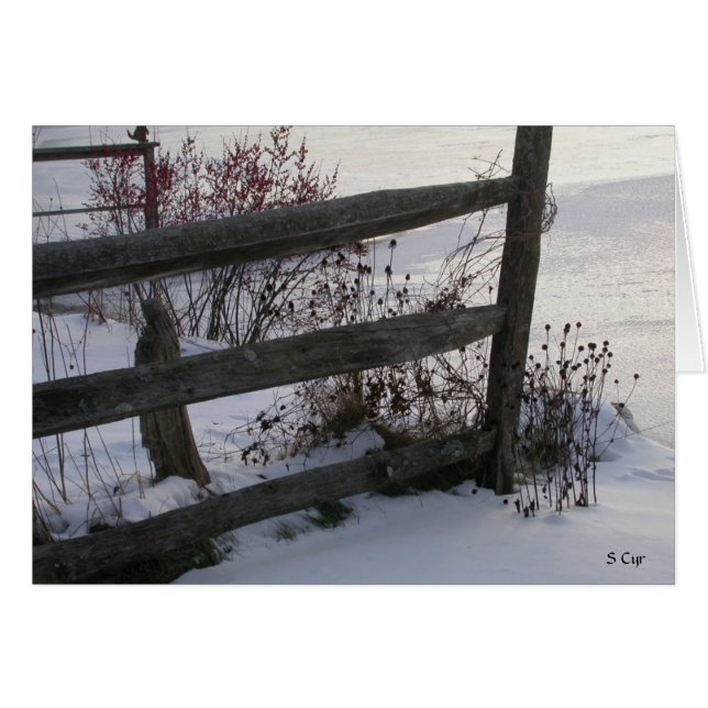 Winterhek, S Cyr (Voorkant Horizontaal)