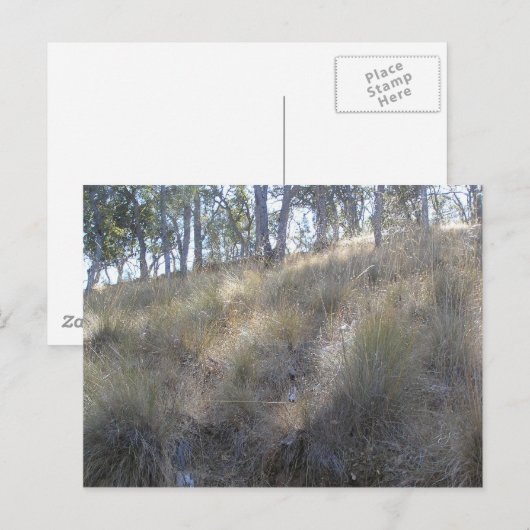 Winterheuvel bij Livermore, CA Briefkaart (Voorkant / Achterkant)