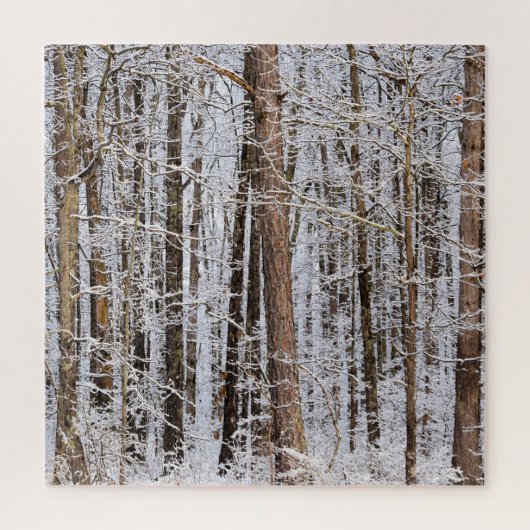 Winterijs Storm in het bos - 20 x 20 inch Legpuzzel (Verticaal)